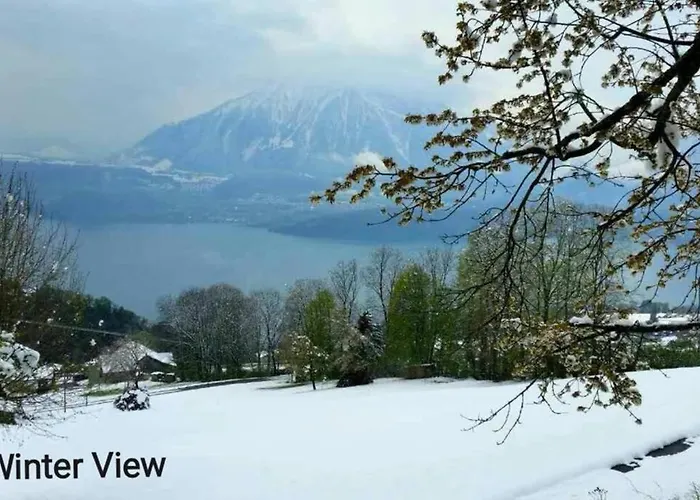 Panoramic Lake Thun & Alps View Apartment Near Interlaken