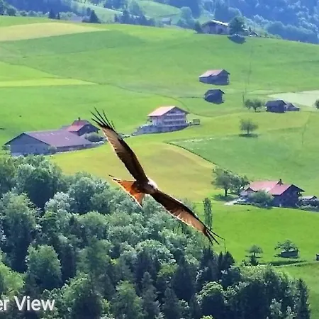 Chalet Xanadu With Amazing Alps & View Дом отдыха