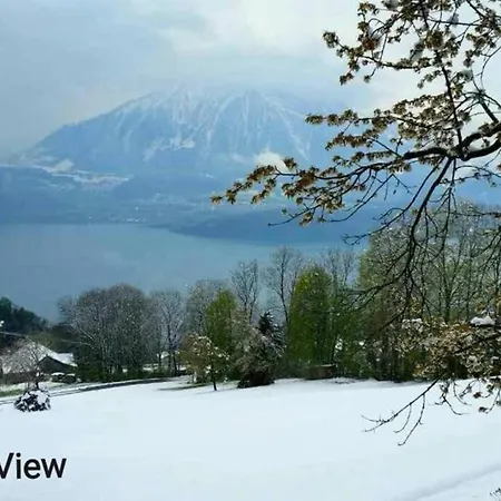 Panoramic Lake Thun & Alps View Apartment Near Interlaken