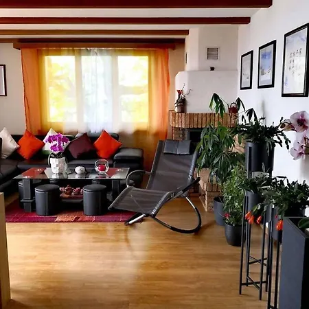 Panoramic Lake Thun & Alps View Apartment Near Interlaken Sigriswil